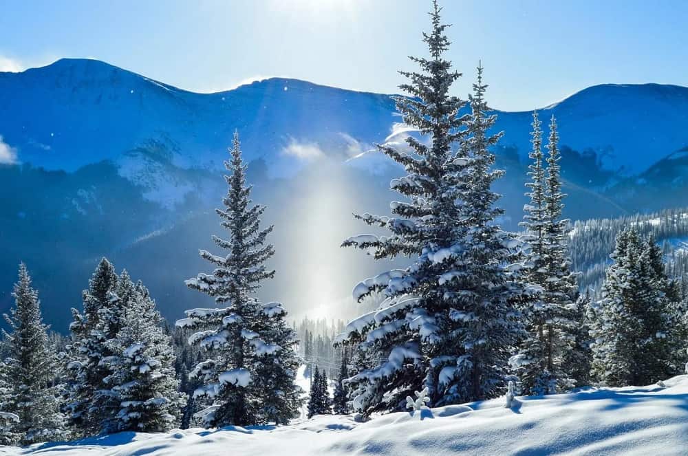Alterra Mountain Company acquires Ski Butlers