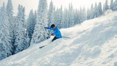 Epic Passes now on sale for the 2024 25 winter season