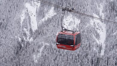 My Epic app technology to go live at Whistler Blackcomb