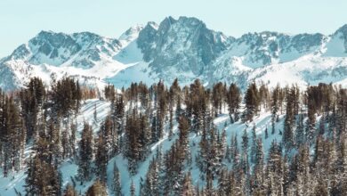 Alterra Mountain Company announces new presidents at Steamboat and Mammoth Mountain