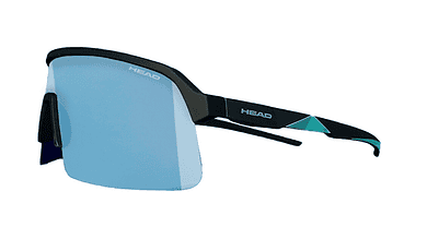 Head Sunglasses Shield