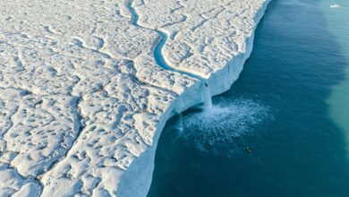 Aniol Serrasolses paddles the river on the Austfonna ice cap, Svalbard on August 6, 2023. Credit: David Sodomka / Red Bull Content Pool