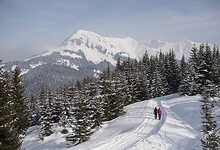 Delicious winter hikes Snowy delights in Tirol