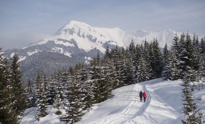 Delicious winter hikes Snowy delights in Tirol