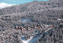 Snow-covered mountain village in winter with dense pine forest and wooden chalets, perfect for winter sports and holiday getaways.