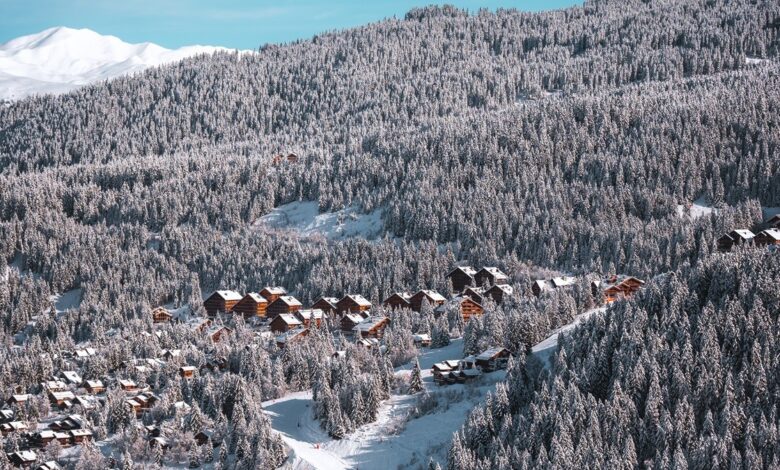 Snow-covered mountain village in winter with dense pine forest and wooden chalets, perfect for winter sports and holiday getaways.