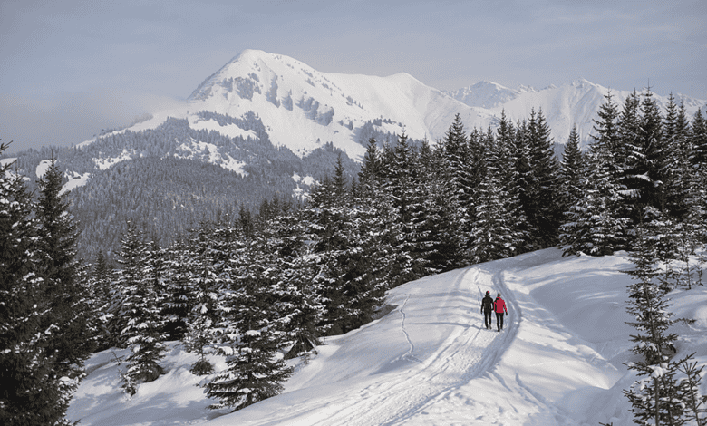 In numbers Winter in Tirol