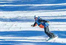 Vibrant skier in colourful winter gear gliding down snow-covered slopes on a sunny day, showcasing perfect winter sport conditions.