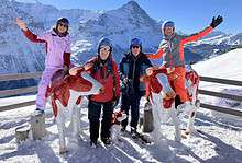 Colourful group of skiers with mountain scenery and carved cow statues on a snowy balcony at a ski resort in the Alps.