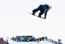 Snowboarder performing a jump in a winter sports competition on snow, with spectators watching from the sidelines and overcast sky. Perfect for winter sports, snowboarding, and outdoor winter activities.