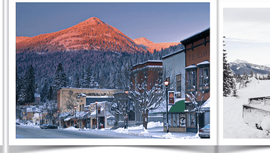 A cyclist riding through a snowy forest trail during winter, showcasing outdoor winter sports and adventure activities.