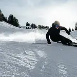 Skier in black gear carving through fresh snow on a sunny winter day with pine trees in the background.