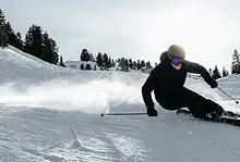 Skier in black gear carving through fresh snow on a sunny winter day with pine trees in the background.